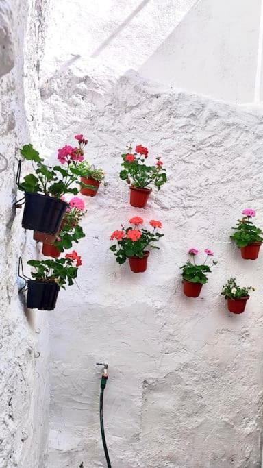 La Casa De Los Tiles 벨레즈블랭코 외부 사진