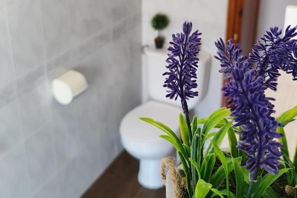 La Casa De Los Tiles 벨레즈블랭코 외부 사진
